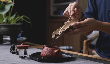 Травы и фитотерапия