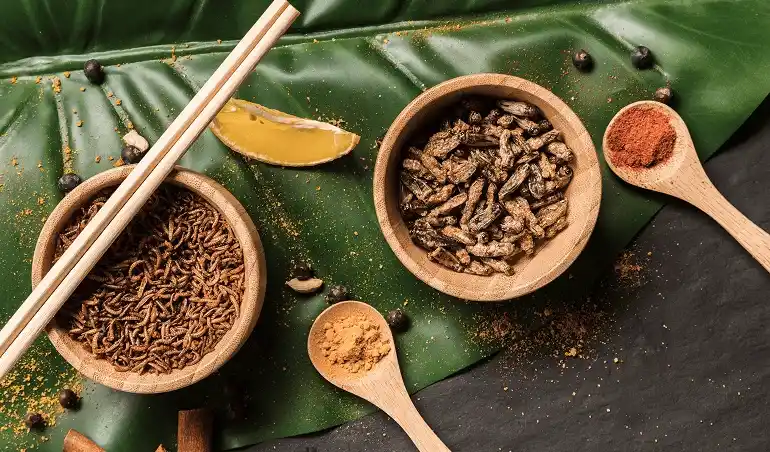 Травы и ингредиенты китайской медицины