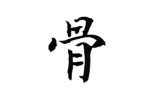 Опорно-двигательный аппарат